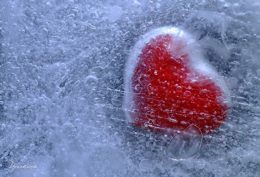 A red heart frozen in ice.