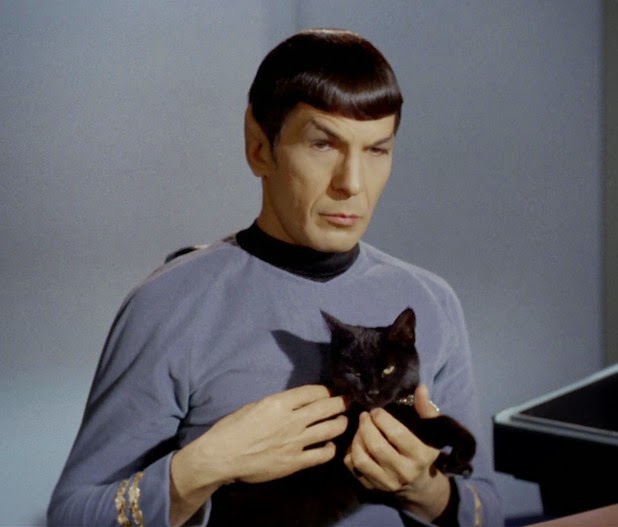 Mr. Spock, Leonard Nimoy, from the original Star Trek series, holding a black cat.