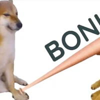 bonkmeme