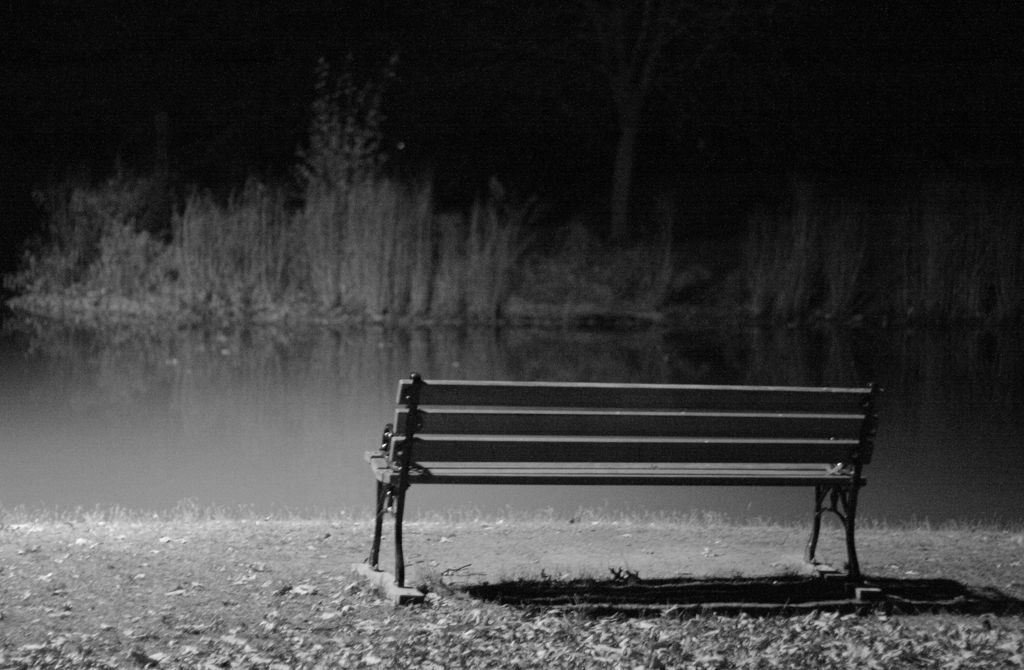 An empty bench in front of a pond.